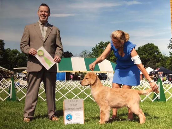 valor best puppy in show