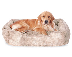 tangleloft goldens lily