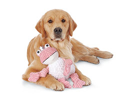 tangleloft goldens lily