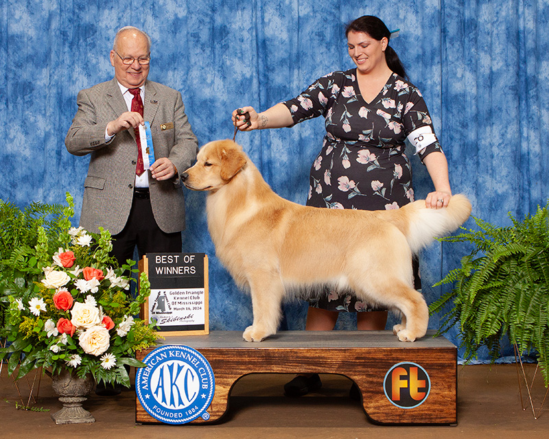 prince 14 months old at a show