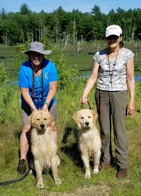 rex and tauri field training