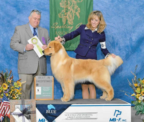 vegas best in specialty show