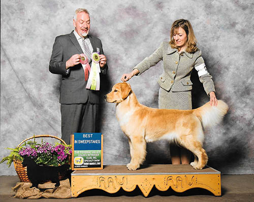 roxy best in specialty sweepstakes