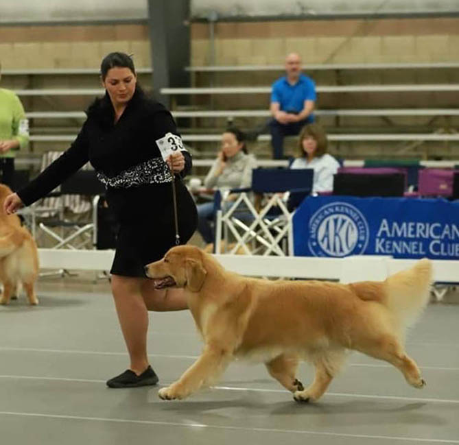 vegas 9.5 yrs old 2022 grca national