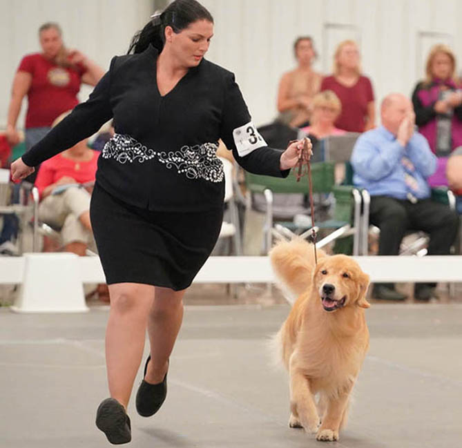 vegas 9.5 yrs old 2022 grca national